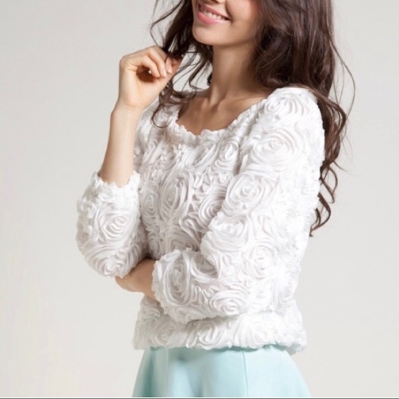 White Mesh Lace Rose Floral Long Sleeve Textured Top - Picture 1 of 7